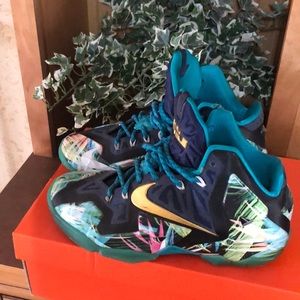 Custom LeBron 11 Shoes